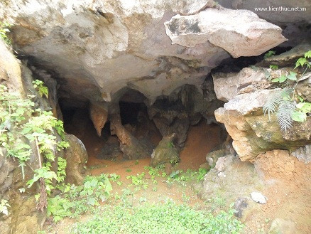 Hang động này ăn sâu vào lòng núi, được ông Đức đào theo hang của một con trăn khổng lồ. Hang động này ăn sâu vào lòng núi, được ông Đức đào theo hang của một con trăn khổng lồ.