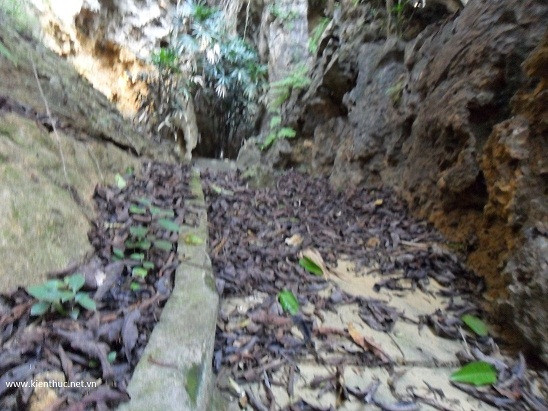 Theo ông Đức, nếu quét hết trang trại, phải cần tới 4 người làm trong 2 ngày, hỏng khoảng 5 - 6 cái chổi mới xong. Theo ông Đức, nếu quét hết trang trại, phải cần tới 4 người làm trong 2 ngày, hỏng khoảng 5 - 6 cái chổi mới xong.