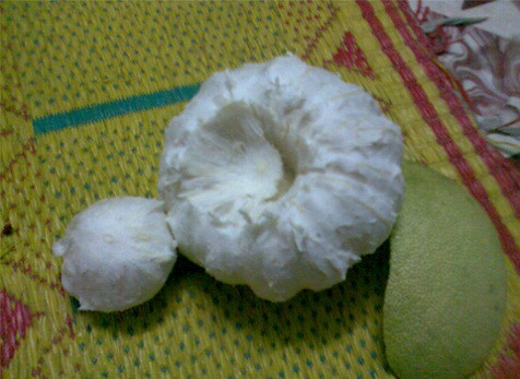 Ảnh: Trương Tuấn An. Ảnh: Trương Tuấn An.