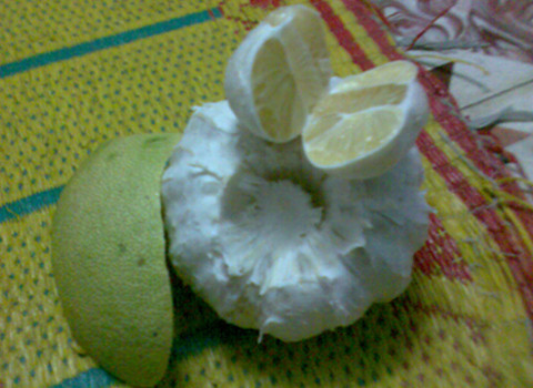 Ảnh: Trương Tuấn An. Ảnh: Trương Tuấn An.