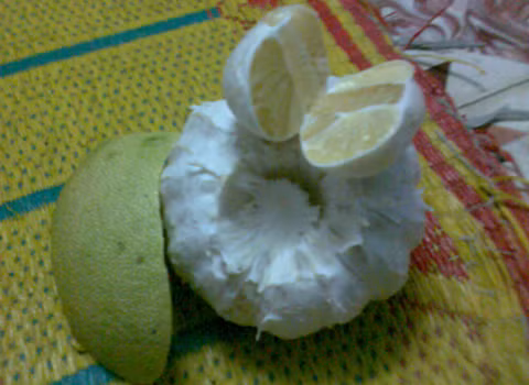 Ảnh: Trương Tuấn An.