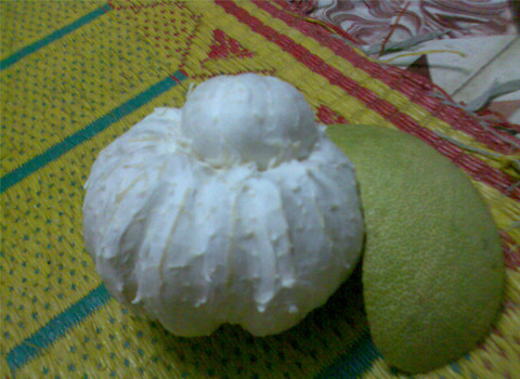 Trái bưởi kiểu "mẹ bồng con", bên trong có một trái bưởi nhỏ, đặc biệt vẫn chín và không hạt. Ảnh: Trương Tuấn An. Trái bưởi kiểu "mẹ bồng con", bên trong có một trái bưởi nhỏ, đặc biệt vẫn chín và không hạt. Ảnh: Trương Tuấn An.