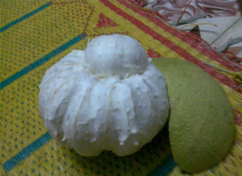 Trái bưởi kiểu "mẹ bồng con", bên trong có một trái bưởi nhỏ, đặc biệt vẫn chín và không hạt. Ảnh: Trương Tuấn An.