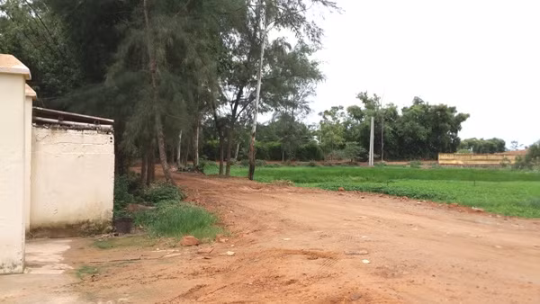 Rót gần 30 tỷ đồng, người dân Sầm Sơn vẫn khốn khổ vì ô nhiễm ảnh 3