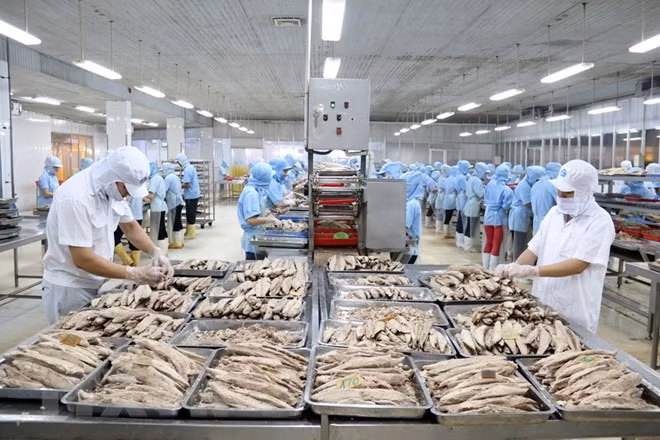 Thủ tướng chỉ thị triển khai giải pháp phát triển sản xuất, thúc đẩy xuất khẩu. (Ảnh minh họa: TTXVN)