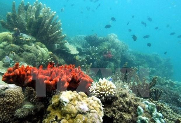 Ảnh minh họa: TTXVN Ảnh minh họa: TTXVN