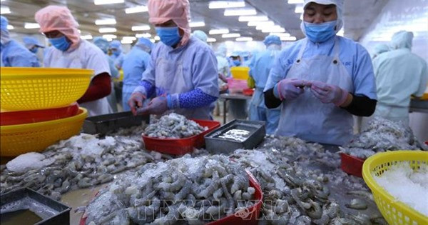 Ảnh minh họa: TTXVN Ảnh minh họa: TTXVN