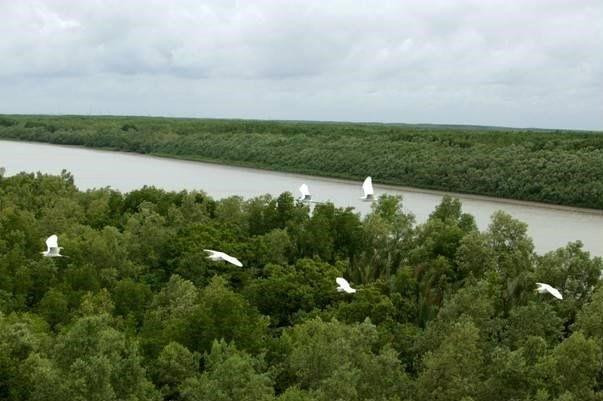 Ảnh minh họa: baochinhphu.vn Ảnh minh họa: baochinhphu.vn