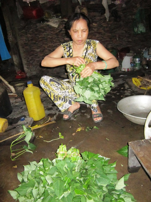 Bà Nguyễn Thị Hương sau khi cắt rau đang ngồi bó rau lại thành bó cho kịp trước khi người buôn rau đến nhà chị mua đem xuống chợ bán. Ảnh: H.T Bà Nguyễn Thị Hương sau khi cắt rau đang ngồi bó rau lại thành bó cho kịp trước khi người buôn rau đến nhà chị mua đem xuống chợ bán. Ảnh: H.T
