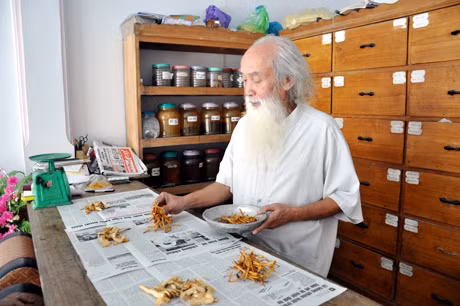 Ảnh minh họa: baochinhphu.vn Ảnh minh họa: baochinhphu.vn