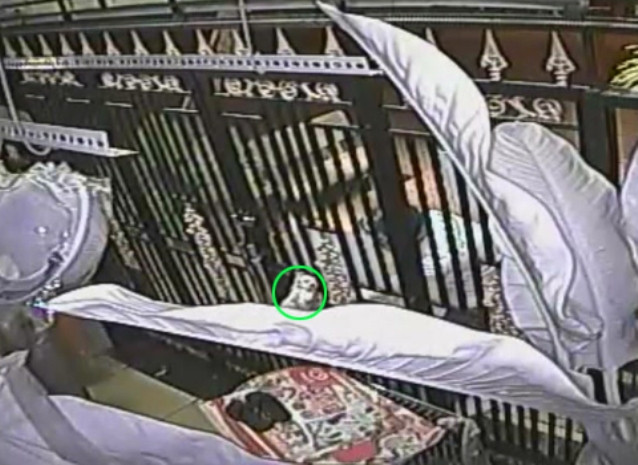 Sau khi kéo chuồng ra, chúng thò tay túm cổ mấy chú chó nhỏ Sau khi kéo chuồng ra, chúng thò tay túm cổ mấy chú chó nhỏ