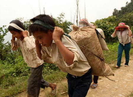 Để các em mồ côi, thật nghèo vẫn có thể theo đuổi con đường học rất dài nhưng cũng là con đường ngắn nhất để xóa đói, giảm nghèo và vươn lên cao hơn trong cuộc sống. Trong ảnh là hai anh em Lỳ Khừ De (lớp 8), Lỳ Phì Dá (lớp 6) Trường THCS Ka Lăng tranh thủ ngày nghỉ về giúp bố mẹ gùi lúa từ nương về nhà. >>NHỮNG HÌNH ẢNH ẤN TƯỢNG VỀ TRẺ EM Ở TRƯỜNG SA >>PHÁT SỐT VÌ CÔ GIÁO 9X XINH ĐẸP CỦA TRƯỜNG CHUYÊN HÀ NỘI - AMSTERDAM >>NỮ SINH ĐẸP RẠNG NGỜI NGÀY KHAI TRƯỜNG Để các em mồ côi, thật nghèo vẫn có thể theo đuổi con đường học rất dài nhưng cũng là con đường ngắn nhất để xóa đói, giảm nghèo và vươn lên cao hơn trong cuộc sống. Trong ảnh là hai anh em Lỳ Khừ De (lớp 8), Lỳ Phì Dá (lớp 6) Trường THCS Ka Lăng tranh thủ ngày nghỉ về giúp bố mẹ gùi lúa từ nương về nhà. >>NHỮNG HÌNH ẢNH ẤN TƯỢNG VỀ TRẺ EM Ở TRƯỜNG SA >>PHÁT SỐT VÌ CÔ GIÁO 9X XINH ĐẸP CỦA TRƯỜNG CHUYÊN HÀ NỘI - AMSTERDAM >>NỮ SINH ĐẸP RẠNG NGỜI NGÀY KHAI TRƯỜNG