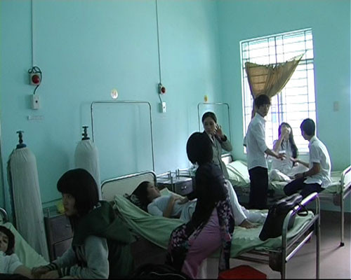 Học sinh bị ong bò vẽ tấn công Học sinh bị ong bò vẽ tấn công