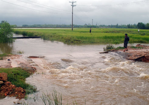 Cầu tạm nơi em Vũ bị cuốn trôi Cầu tạm nơi em Vũ bị cuốn trôi