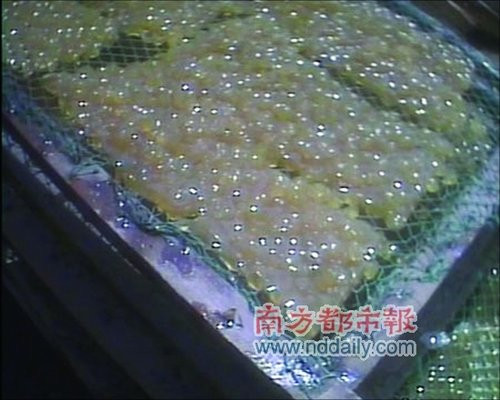 Mẻ trân châu bẩn mới ra lò