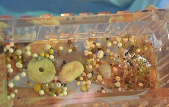 Những viên xá lợi long lanh nhiều màu sắc sau khi được lấy ra khỏi lò trà tỳ