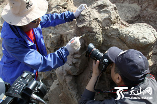 Các nhân viên khảo cổ đang tác nghiệp tại di chỉ