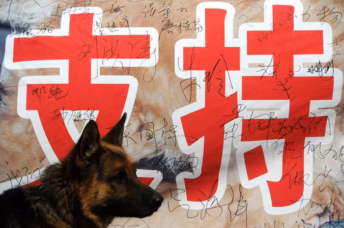 Người dân Cáp Nhĩ Tân ký vào bản pano tuyên truyền ủng hộ nuôi chó, bảo vệ chó trước quyết định của địa phương