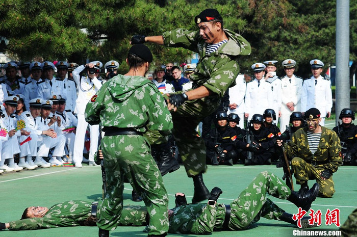 Biểu diễn võ thuật thi đấu đối kháng Biểu diễn võ thuật thi đấu đối kháng