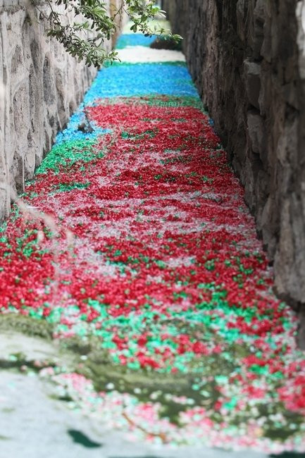 Con rãnh thoát nước thải hôi thối đen thui bỗng sau một đêm thành cầu vồng bảy sắc Con rãnh thoát nước thải hôi thối đen thui bỗng sau một đêm thành cầu vồng bảy sắc