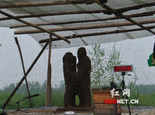 Tác phẩm nghệ thuật "điêu khắc" ong mật Tác phẩm nghệ thuật "điêu khắc" ong mật