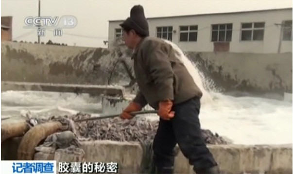 Nguyên liệu được đưa vào bồn ngâm với thạch cao sống, hóa chất tẩy rửa Nguyên liệu được đưa vào bồn ngâm với thạch cao sống, hóa chất tẩy rửa