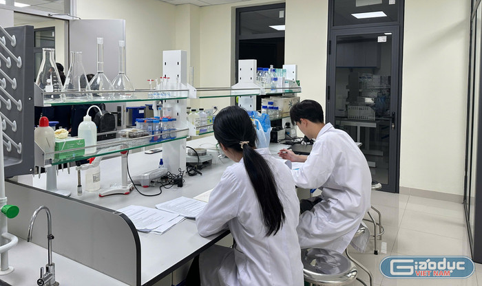 Để đảm bảo hiệu quả đầu tư, chính sách miễn học phí cho người học các ngành STEM cần đi kèm với các tiêu chí tuyển chọn chặt chẽ. Ảnh: Đào Hiền gdvn_đào hiền (2).jpg