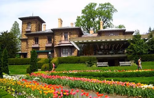 Top 10 ĐH đứng đầu thế giới trong lĩnh vực Toán học