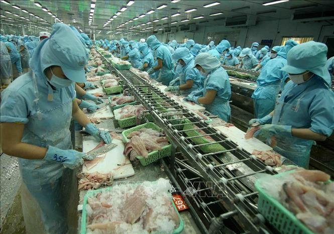 Ảnh minh họa: TTXVN Ảnh minh họa: TTXVN