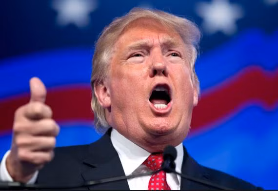 Rung chà cá nhảy ảnh 5