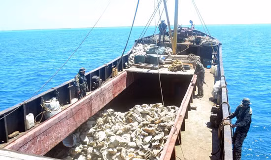 Cuộc khủng hoảng Scarborough năm 2012 cũng bắt đầu bằng việc Trung Quốc xúi ngư dân ra đánh bắt, tận diệt sò biển khổng lồ và rùa biển ở bãi cạn này, khi lực lượng chức năng Philippines kiểm tra bắt giữ thì Hải giám, Ngư chính Trung Quốc nhảy vào.