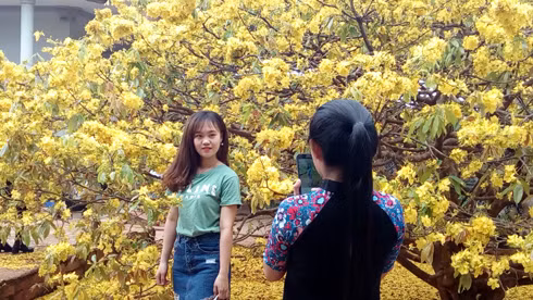 Du khách tạo dáng để có bộ ảnh đáng nhớ. (Ảnh: H.L)