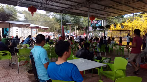 Khách đến uống cà phê tại quán Cây Mai với mục đích ngắm hoa và chụp hình lưu niệm. (Ảnh: H.L)