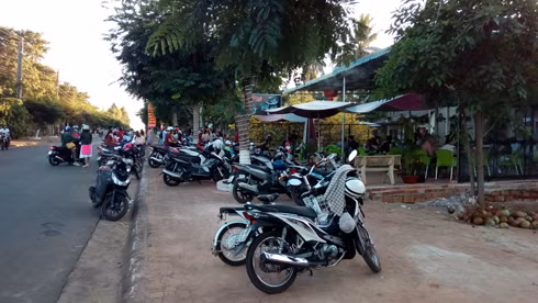 Quán cà phê Cây Mai đã trở thành điểm vui chơi ngày Xuân của người dân trong huyện và một số tỉnh lân cận. (Ảnh: H.L)