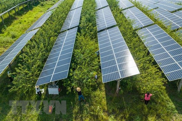 Ảnh minh họa: TTXVN