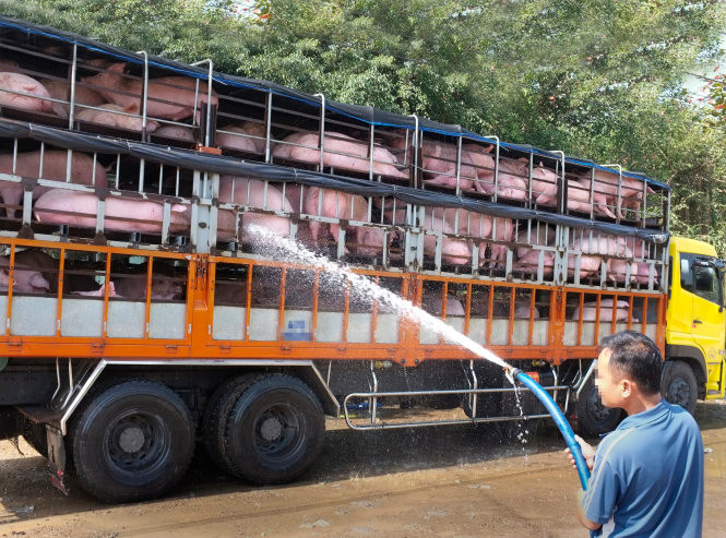 Cần cảnh giác với ma trận phá hoại kinh tế Việt Nam từ Trung Quốc ảnh 4 Cần cảnh giác với ma trận phá hoại kinh tế Việt Nam từ Trung Quốc ảnh 4