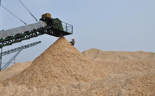 Phát triển độc lập ngành sản xuất dăm gỗ xuất khẩu là luôn đối mặt với quy trình kinh tế: dùng chính phẩm →chế biến thành thứ phẩm → bán giá phế phẩm. Ảnh minh họa: Vneconomy. Phát triển độc lập ngành sản xuất dăm gỗ xuất khẩu là luôn đối mặt với quy trình kinh tế: dùng chính phẩm →chế biến thành thứ phẩm → bán giá phế phẩm. Ảnh minh họa: Vneconomy.
