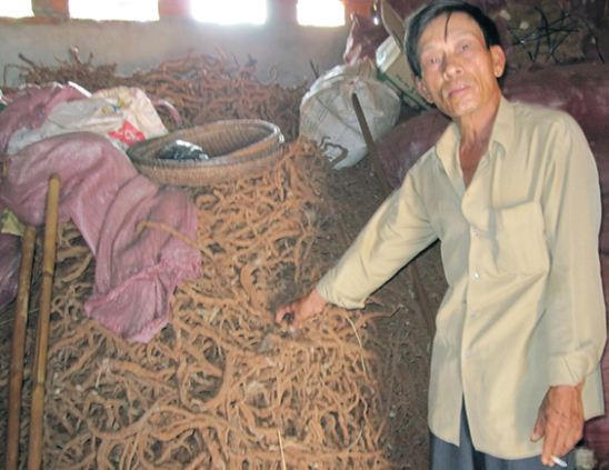 Làm sao ngành gỗ Việt Nam tránh được thiệt hại bởi Trung Quốc? ảnh 3 Làm sao ngành gỗ Việt Nam tránh được thiệt hại bởi Trung Quốc? ảnh 3