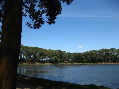 Điểm du lịch Ao Bà Om Trà Vinh vắng teo bạn trẻ vì lo sợ Điểm du lịch Ao Bà Om Trà Vinh vắng teo bạn trẻ vì lo sợ