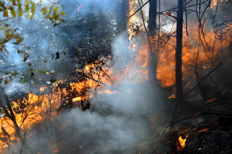 Ảnh minh họa: Internet