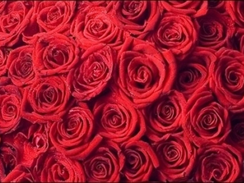 Ảnh minh họa: Internet