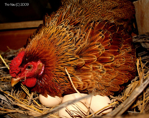 Ảnh minh họa: Internet Ảnh minh họa: Internet