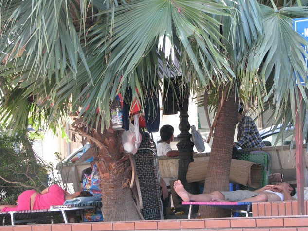 Gốc cây quanh bệnh viện không mấy khi “trống vắng”.