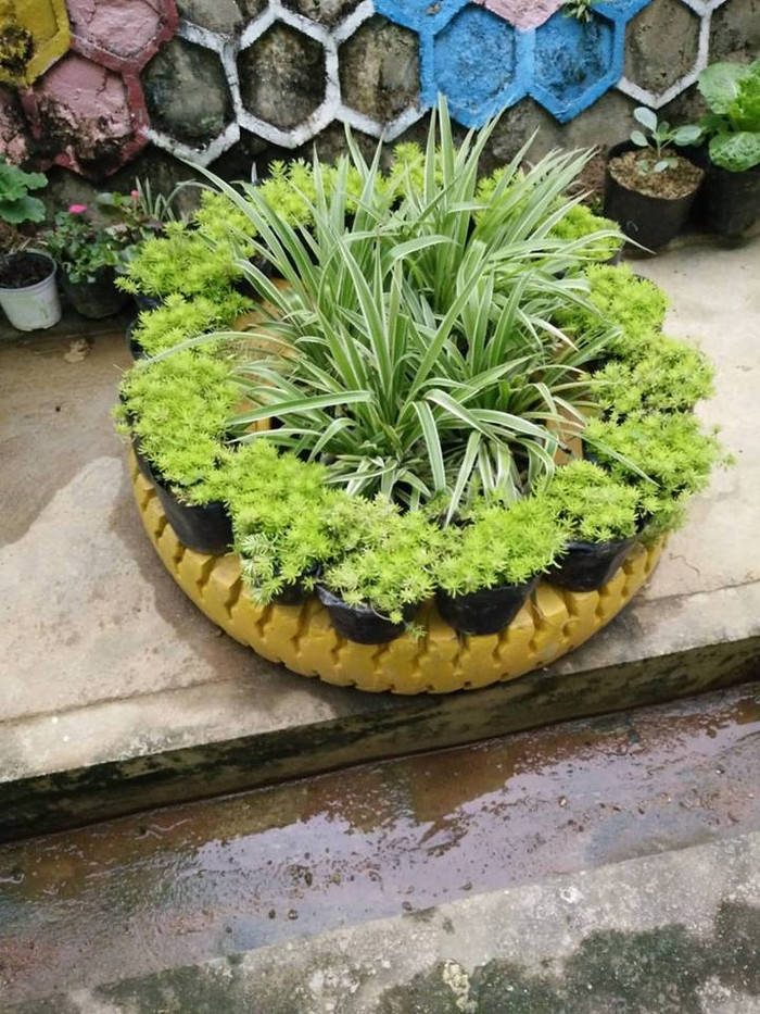 Bất kỳ đâu trong vườn trường đều có những bồn hoa đầy sáng tạo như vậy. (Ảnh: LC) Bất kỳ đâu trong vườn trường đều có những bồn hoa đầy sáng tạo như vậy. (Ảnh: LC)