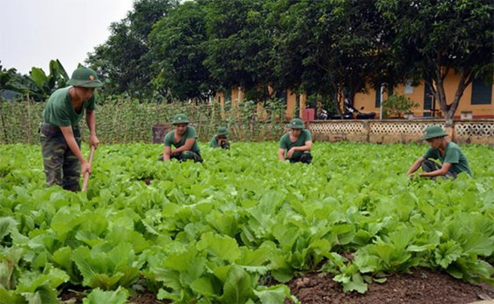 Ảnh minh họa: baochinhphu.vn Ảnh minh họa: baochinhphu.vn