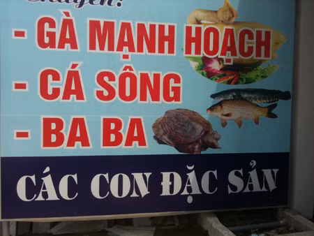 Miễn bình luận Miễn bình luận