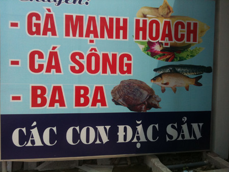 Miễn bình luận Miễn bình luận