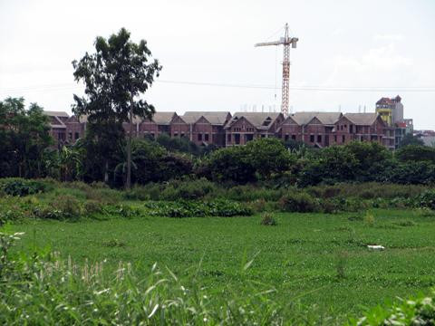 Tiền nợ thuế của doanh nghiệp địa ốc lên tới hằng trăm tỷ đồng. Ảnh: Hoàng Lan Tiền nợ thuế của doanh nghiệp địa ốc lên tới hằng trăm tỷ đồng. Ảnh: Hoàng Lan