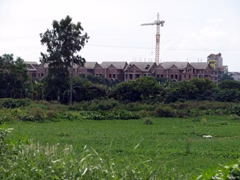 Tiền nợ thuế của doanh nghiệp địa ốc lên tới hằng trăm tỷ đồng. Ảnh: Hoàng Lan