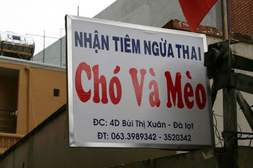 Đình sản chó và mèo